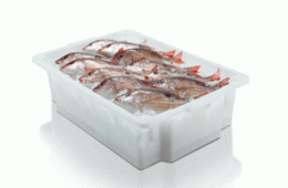 PL 1973 – Caixa Pescado 40 litros